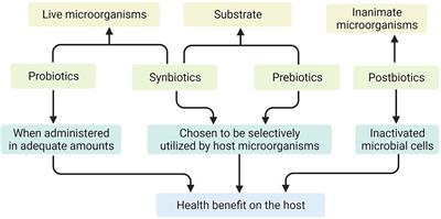 Efficacy of dietary supplements targeting gut microbiota in the prevention and treatment of gestational diabetes mellitus